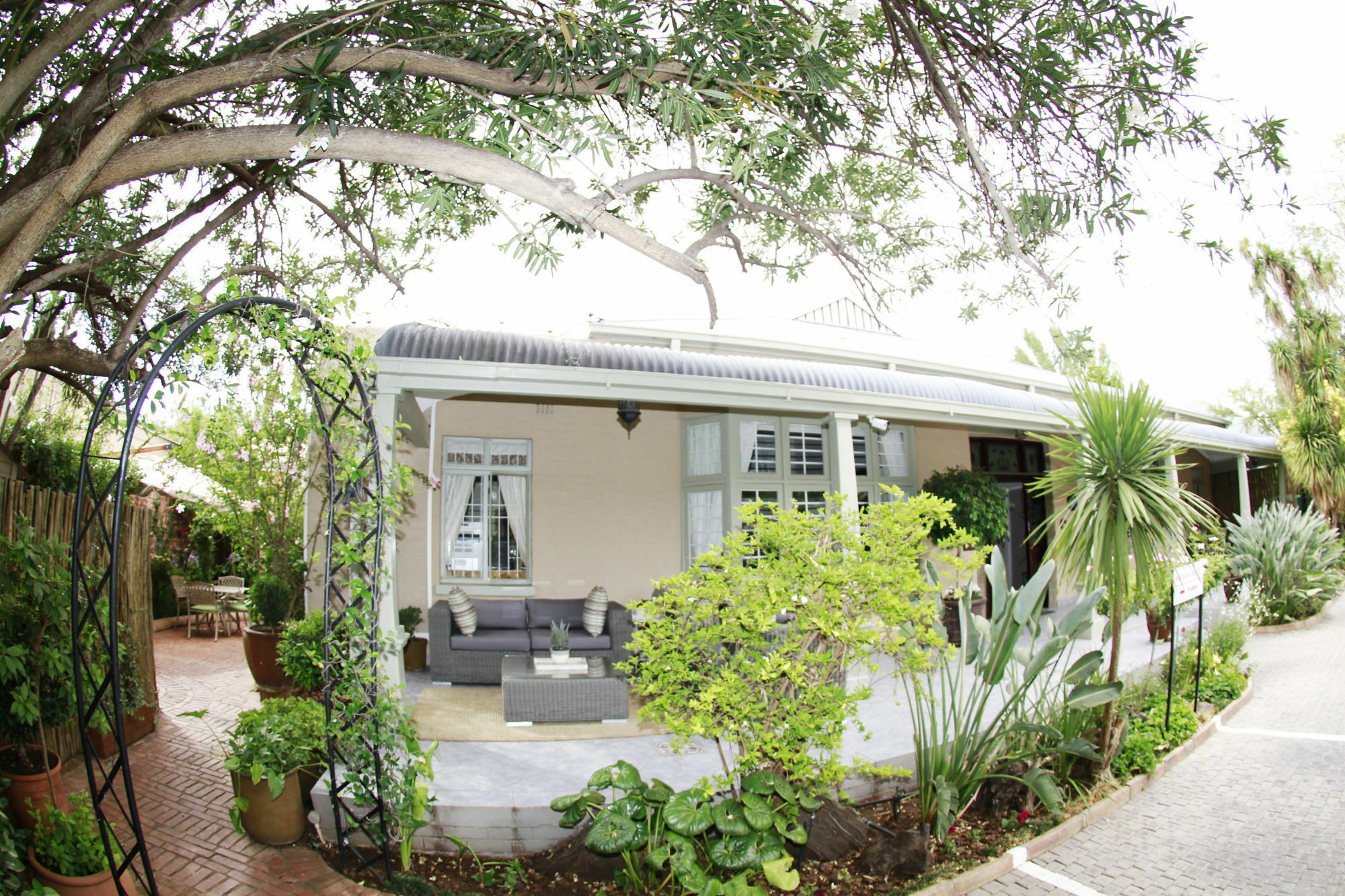 Oleander Guest House Kimberley Εξωτερικό φωτογραφία